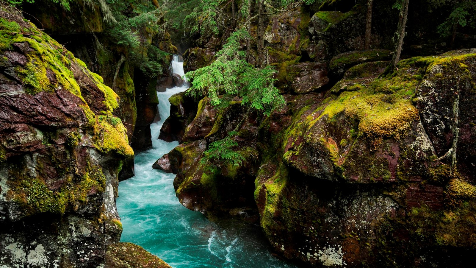 Blue water rushing through a gorge carved out of moss-covered red rock.