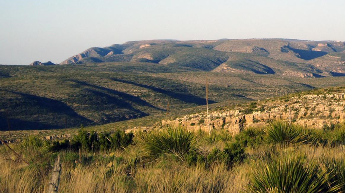 A photo of the Chihuahuan Desert along the Juniper Ridge Trail.