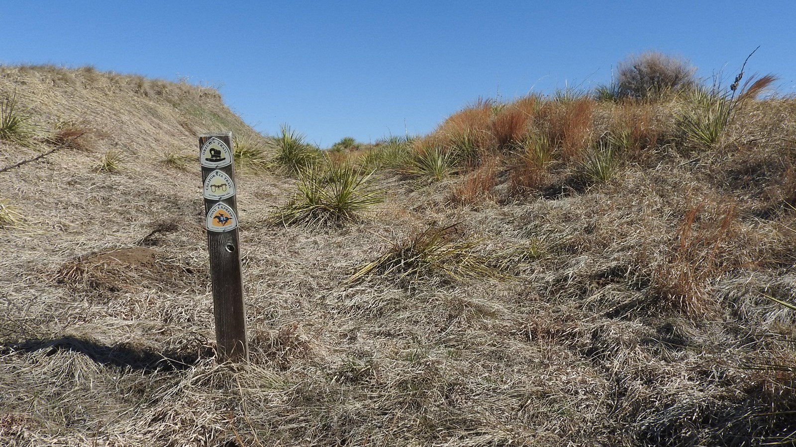 A swale along the emigrant trail route is marked with a wooden post.