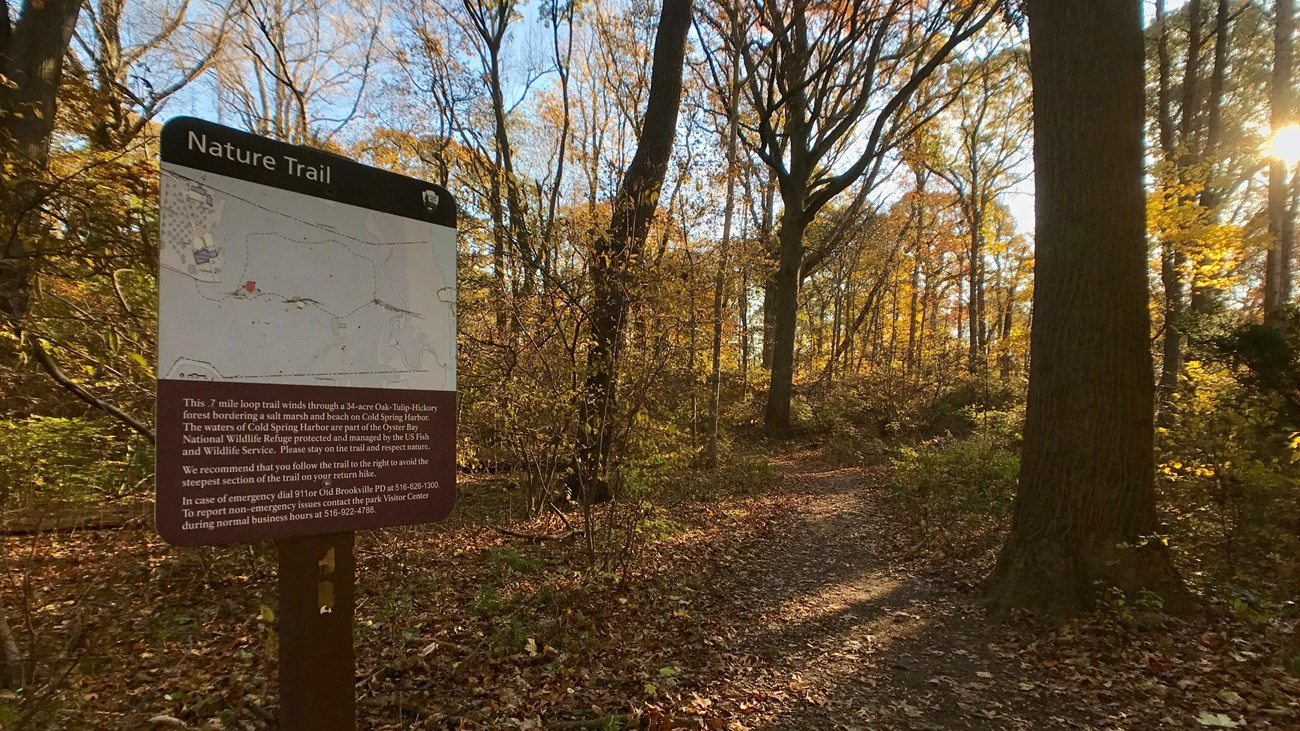 A trail with yellow autumn leaves on trees and a sign in the foreground with 