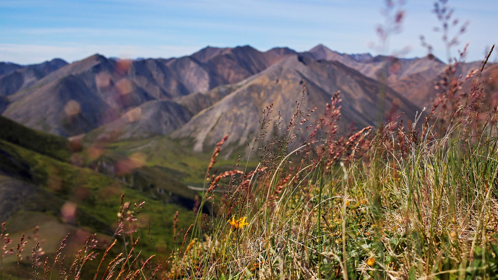 multiple bare mountain tops stretch as far as the eye can see with plant life in the valleys between