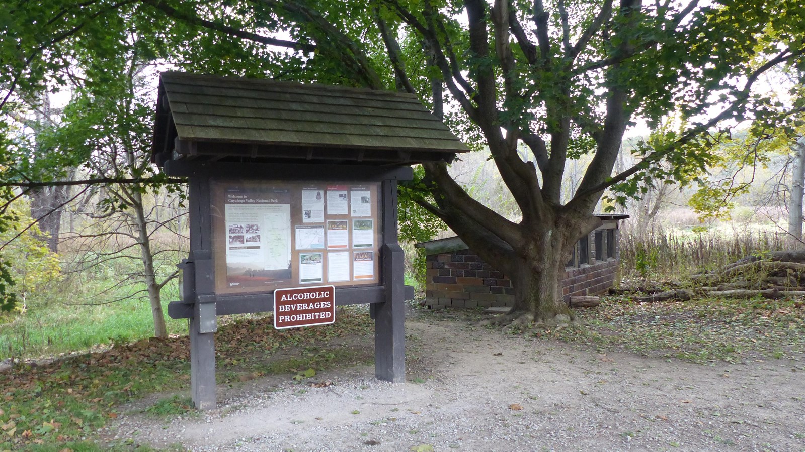 Under a tree, a dirt path snakes between a roofed bulletin board and an old brick chicken coop.