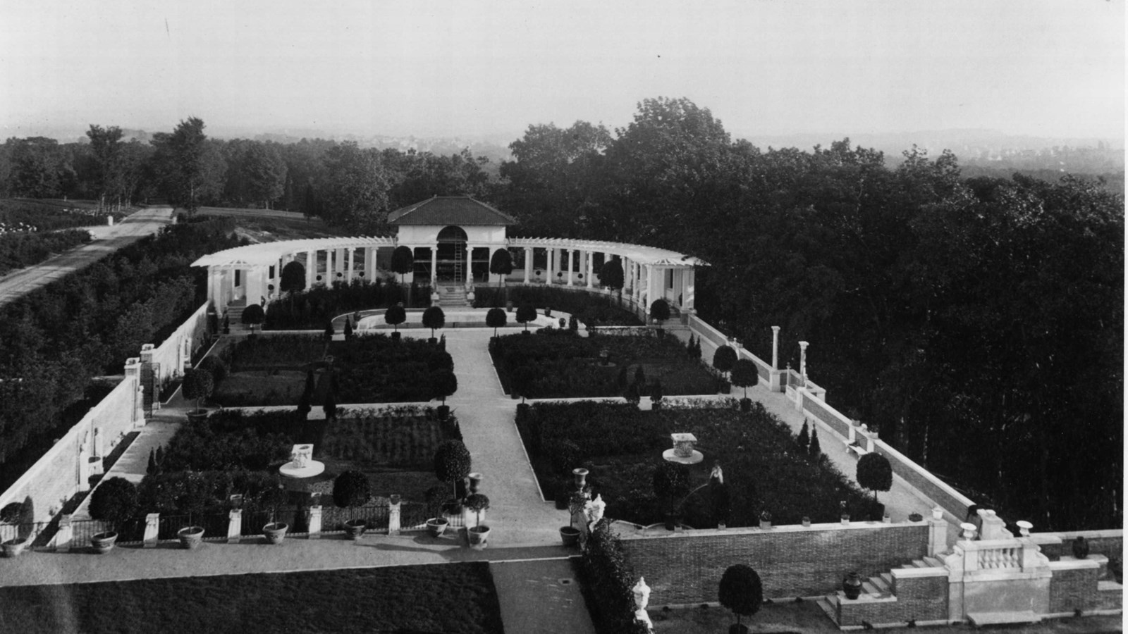 Black and white of large backyeard with rows of greenery and paths cutting down