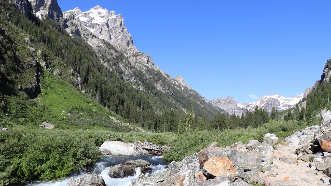 A creek runs along a rocky trail in the middle of a mountain canyon.