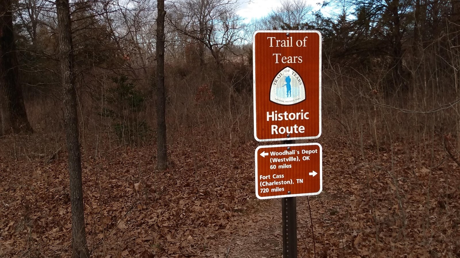Photo of a white and brown sign standing near some trees with leaves all over the ground.