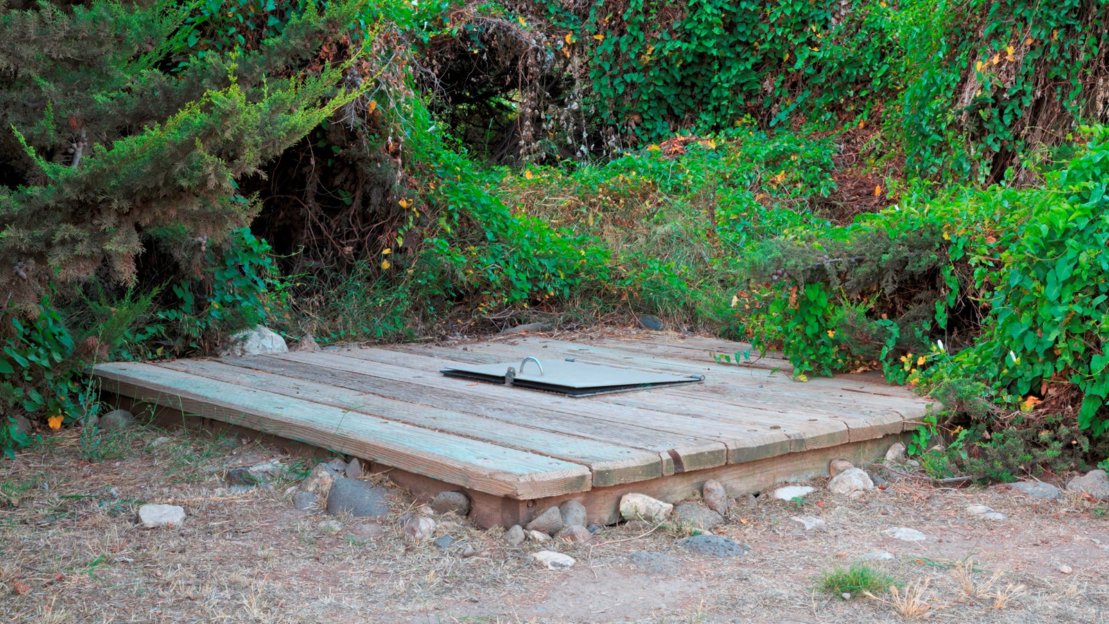 Hand-dug well that is approximately 30-35 feet in depth and lined with stone.