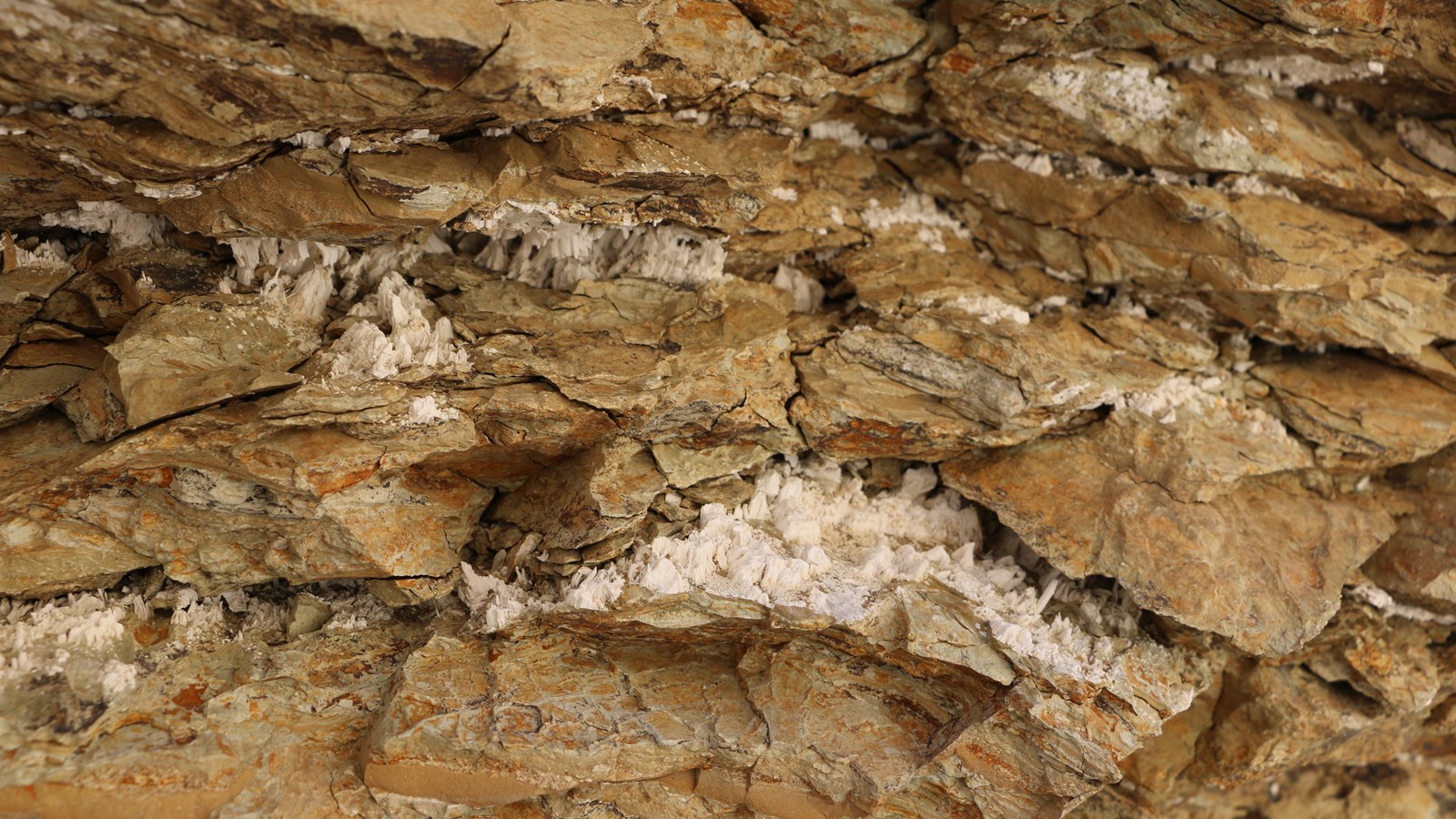 Small white mineral crystals grow between layers of brown rock.