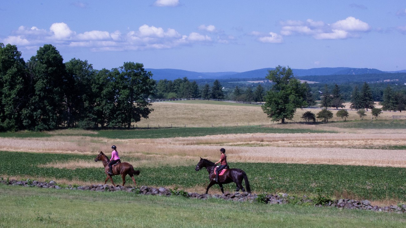 Two horses with riders galloping near a stone fence