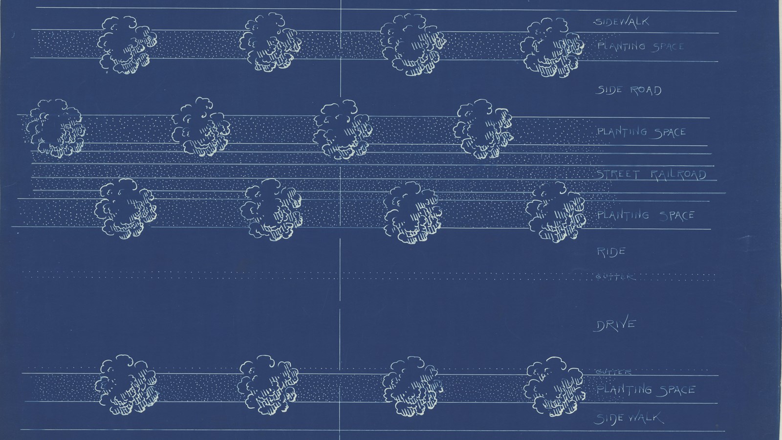 Blueprint of trees in a line