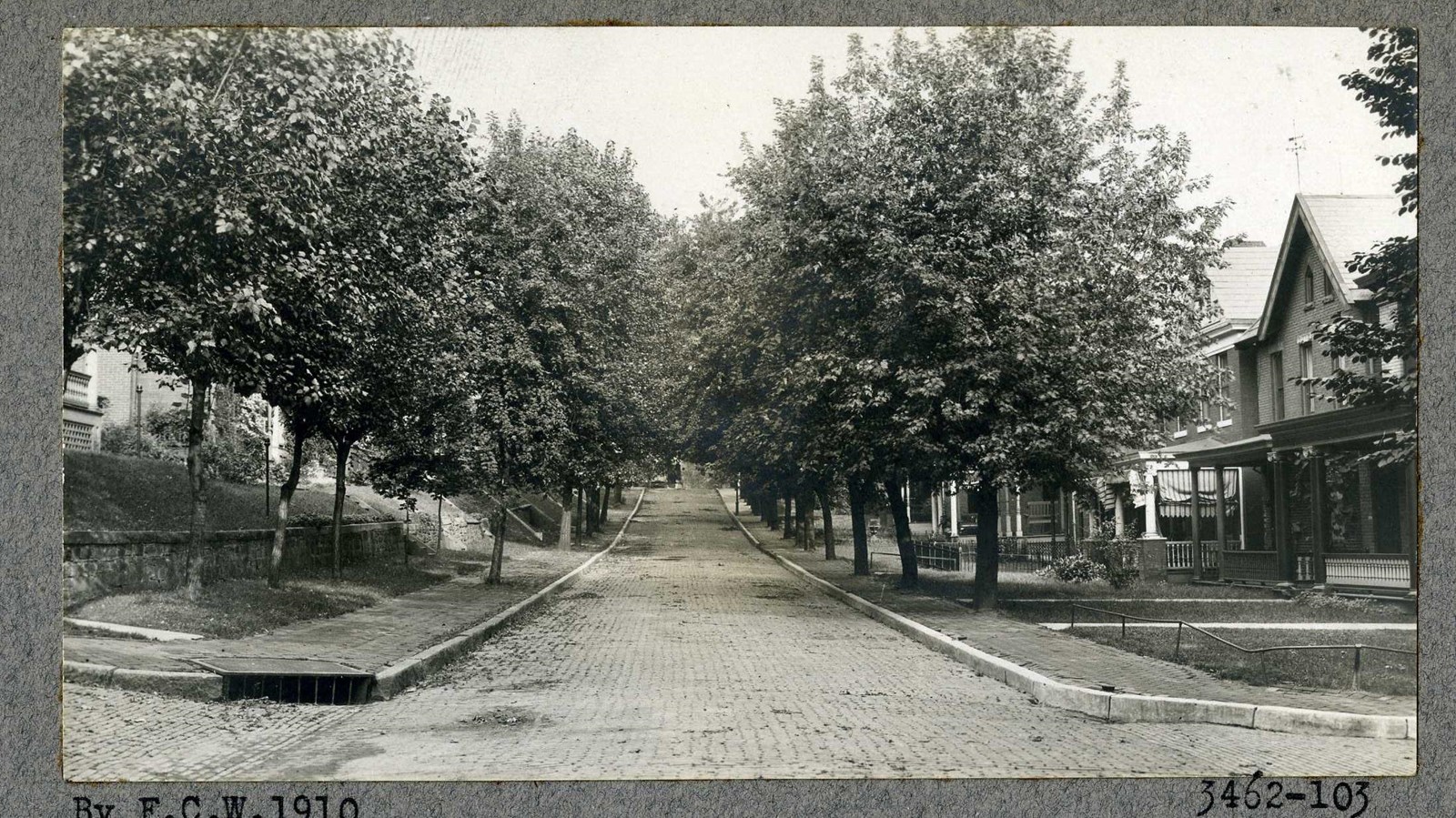 Black and white of brick road lined with trees and houses on both sides 