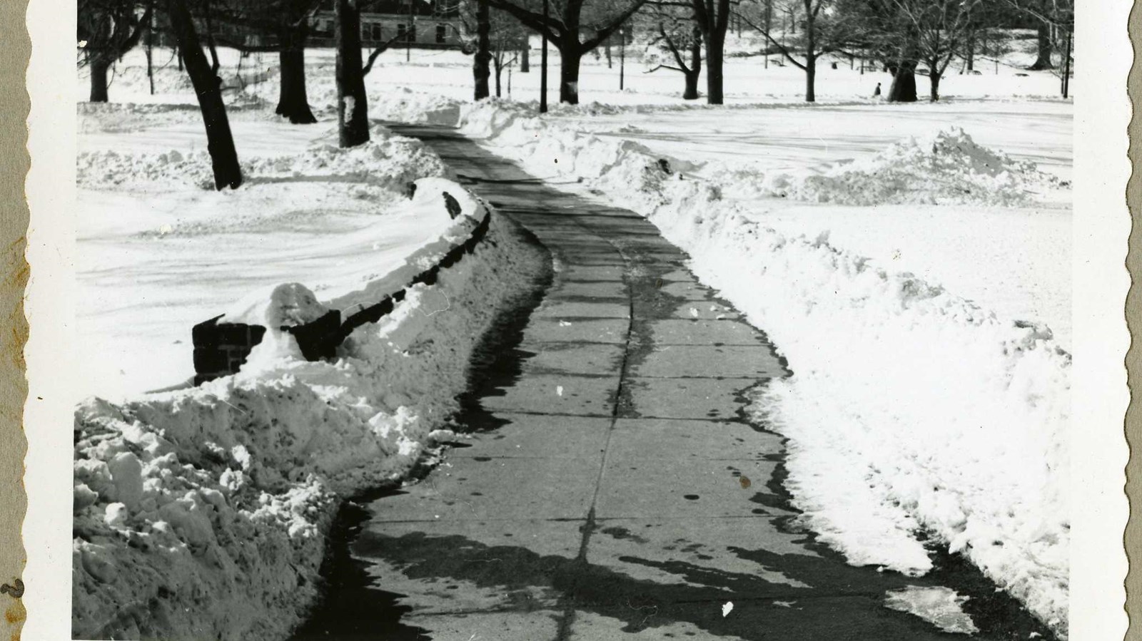 Black and white of curving paved path through park with snow on ground and trees spread out