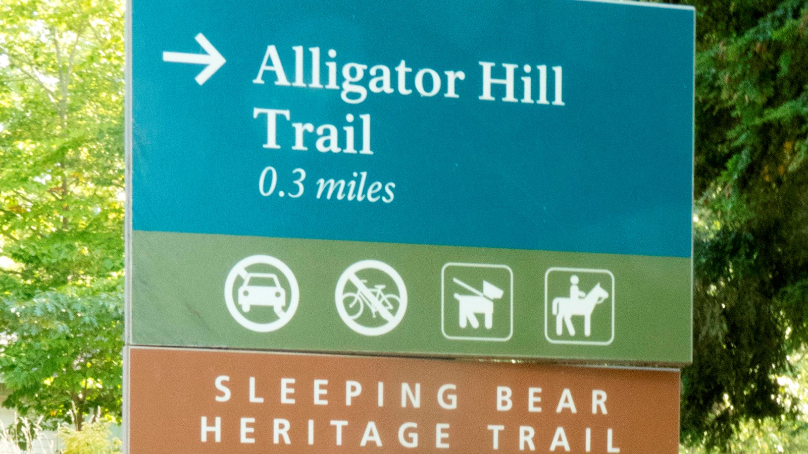 Teal green sign with direction arrows