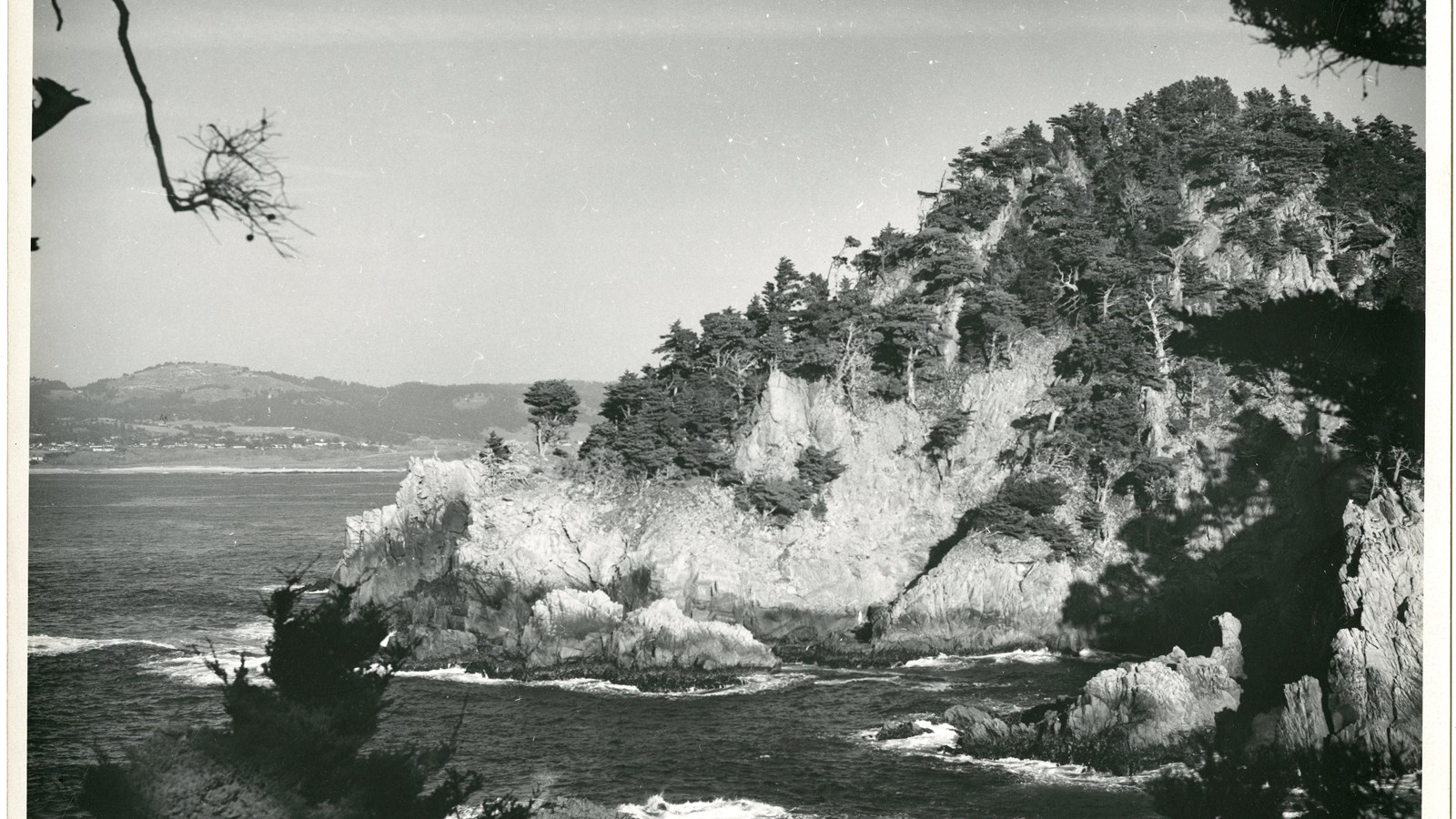 Black and white of rocky cliffs going into the ocean with trees on top