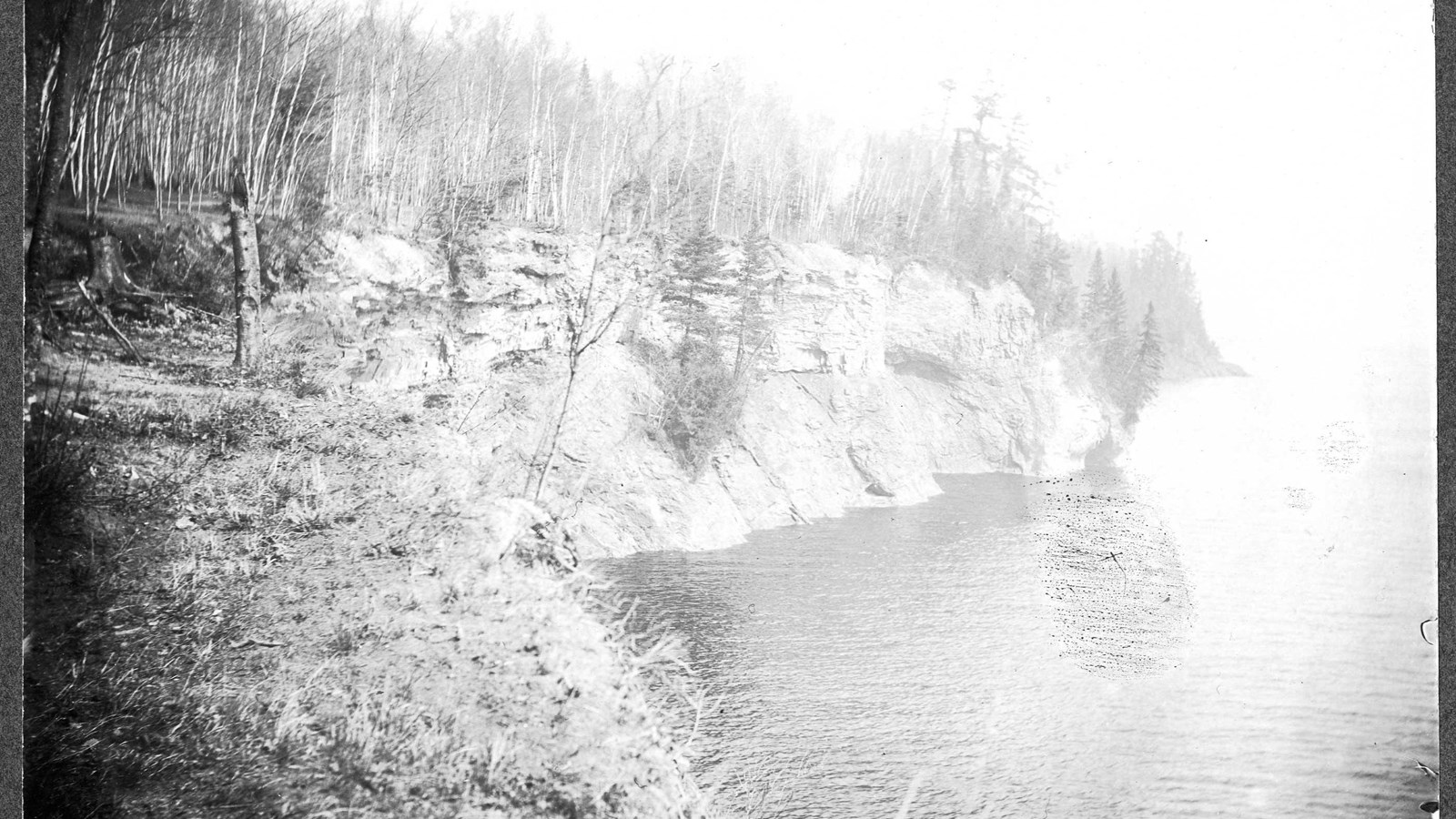 Black and white of steep cliffs going into water with trees on top of rocks