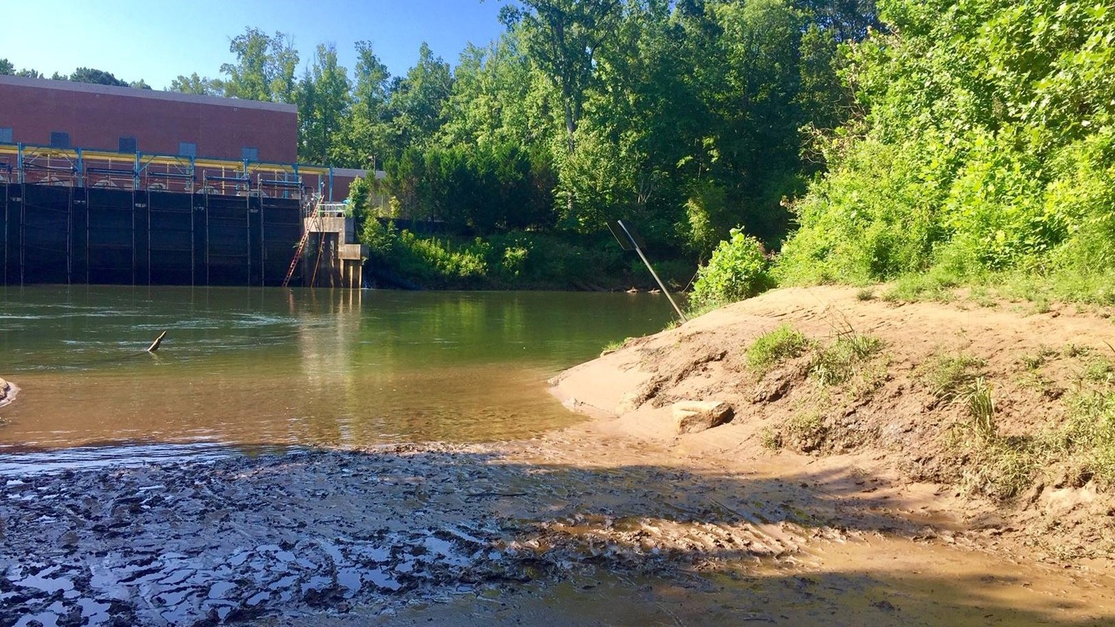 End of launch with brush covered near shoreline on the right & distant wooded shoreline & building.