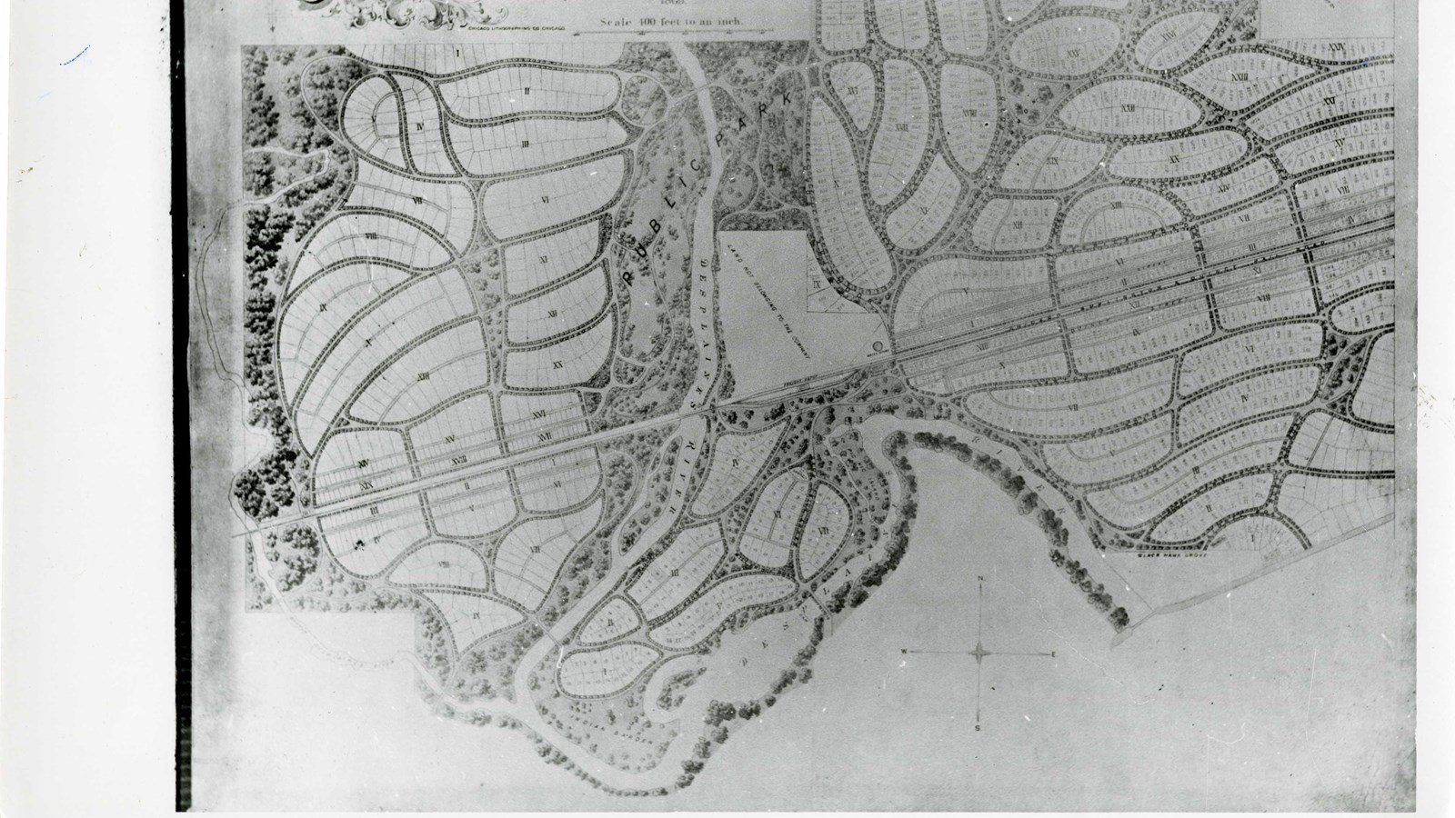 Plan of community with many curving lines and lots for homes along the road, roads lined with trees