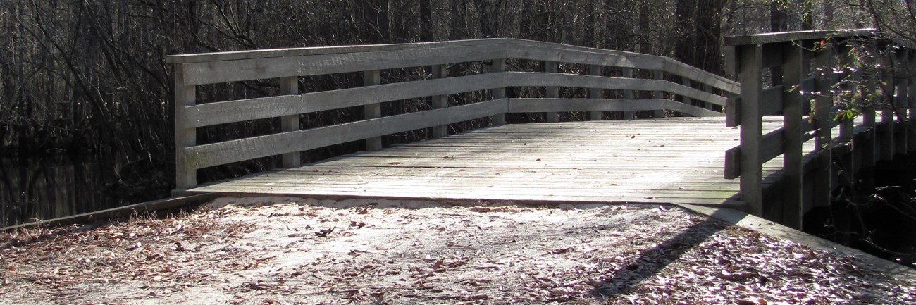 Moores Creek Bridge in the fall with leaves on the ground