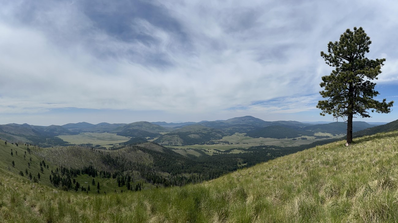 A sweeping view from a high alpine meadow overlooking Valles Caldera.