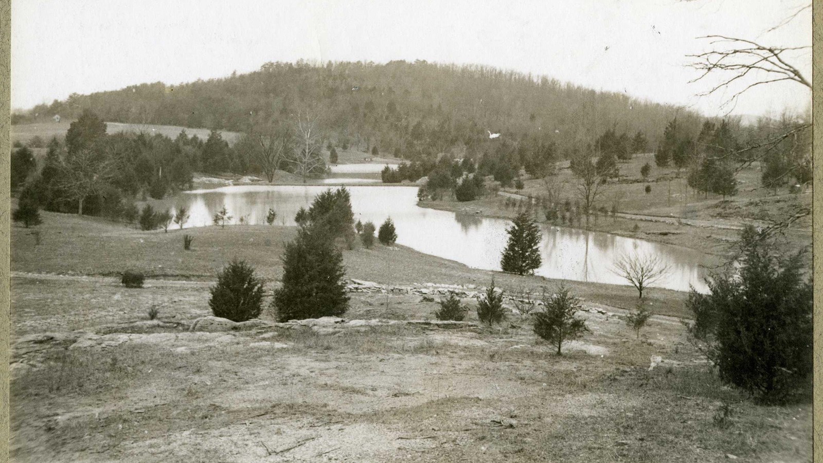 Black and white of grassy area with water and trees spread out on grassy area