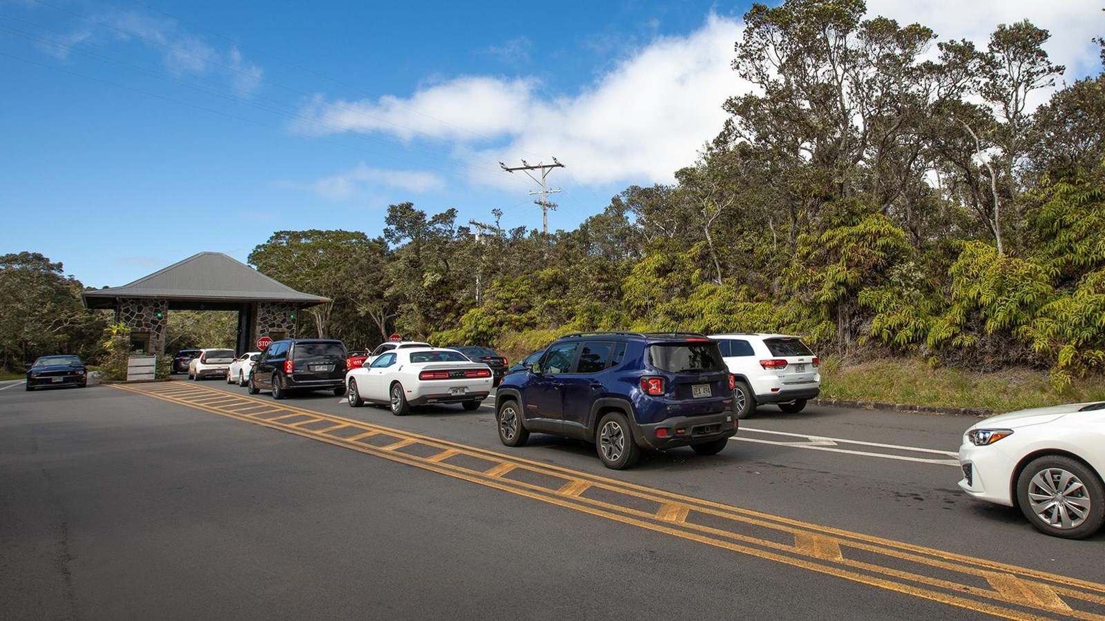 A line of cars waiting to enter the national park.
