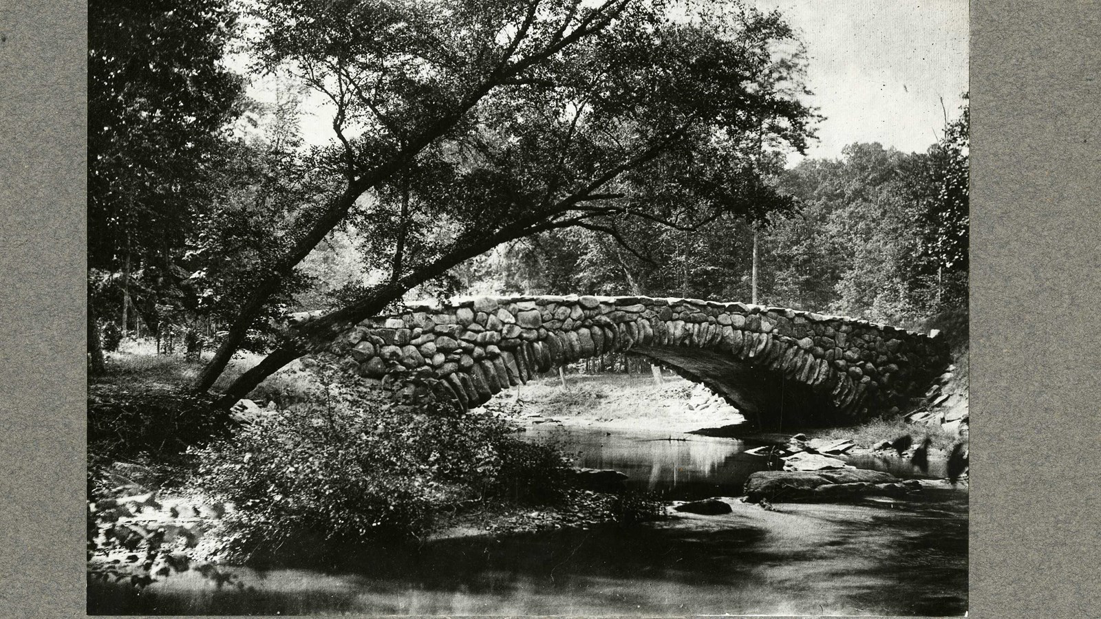 Black and white of stone bridge over water with trees on both sides, one hanging over bridge