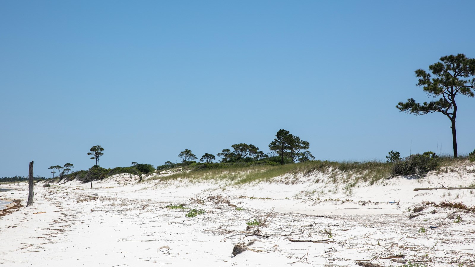 Spare vegetation dots the sand dunes on a remote island.