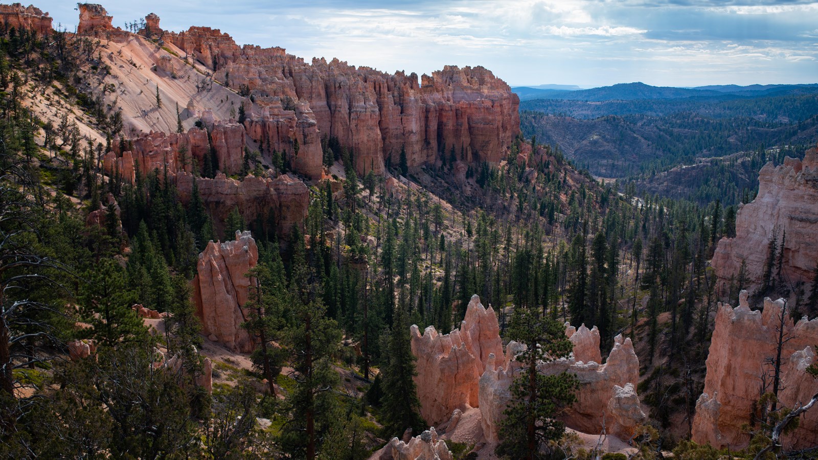 Forested canyon with tall bright orange limestone cliffs towering above