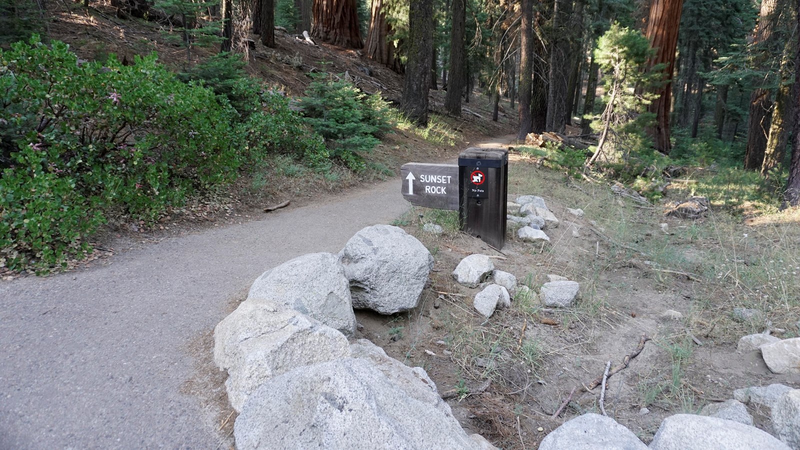 A brown wooden sign sits next to an asphalt path. The path leads through tall trees. 