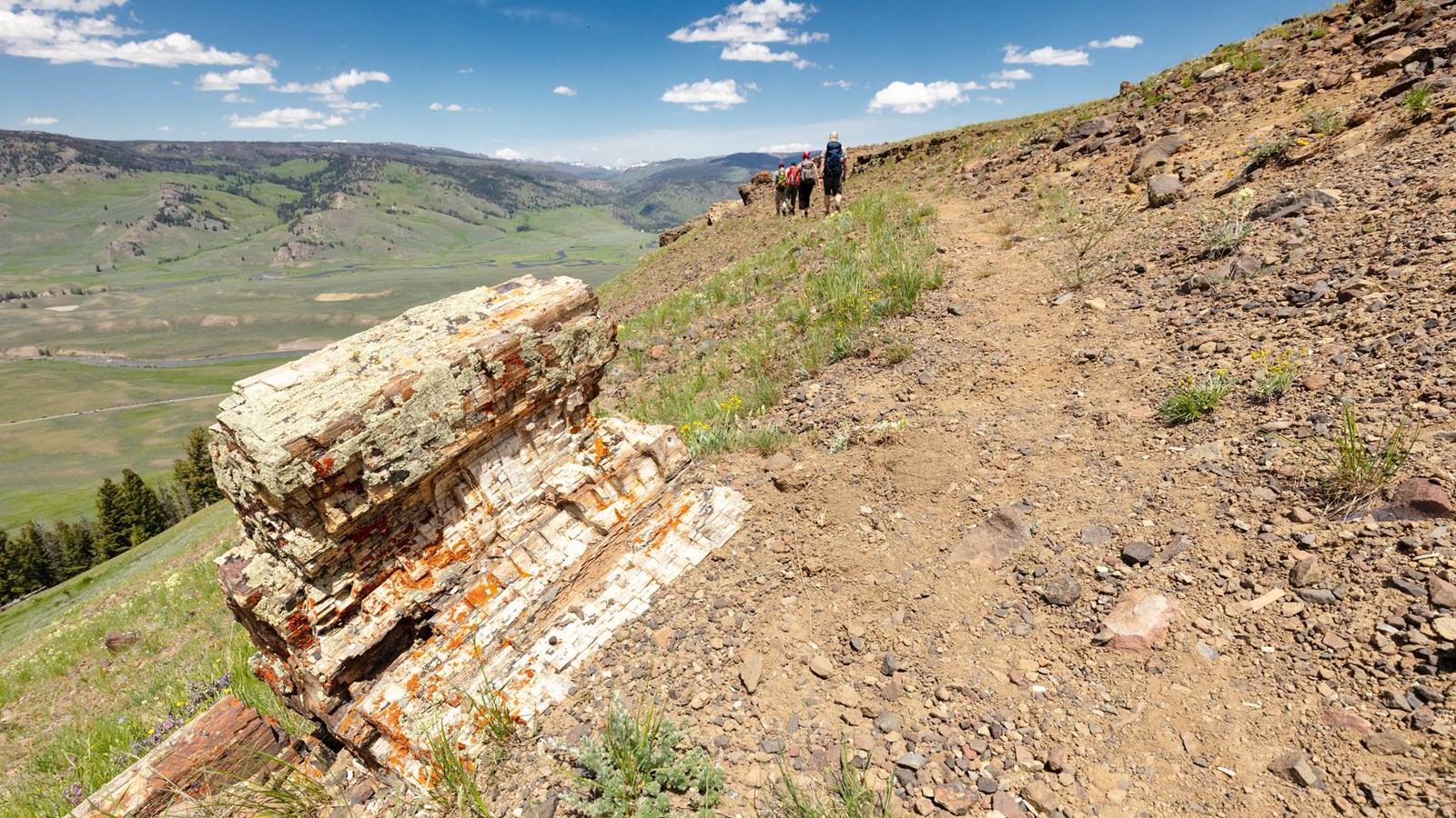 A trail travels past a piece of petrified wood on a ridgeline.