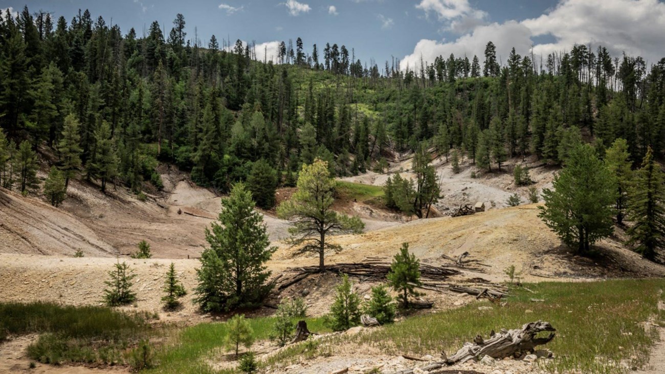 A hilly, geothermal landscape of bleached rock and soil largely devoid of vegetation.