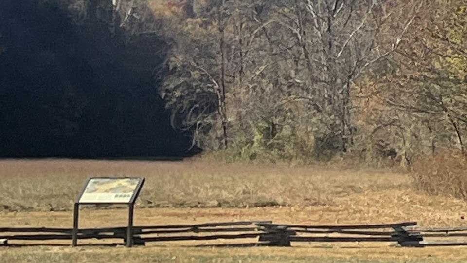 field at Knob Creek