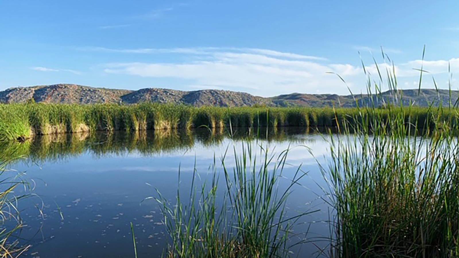 spring canyon water