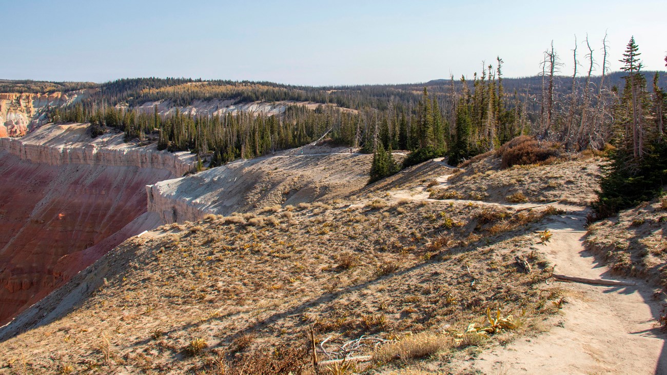 A dirt trail winds along the rim of a geologic amphitheater to the left.