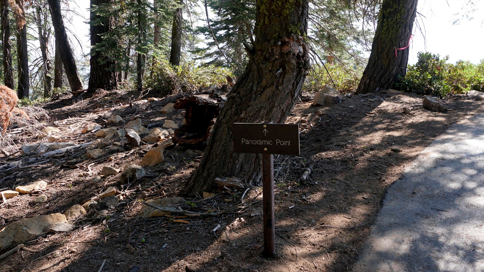 A metal sign stands next to a partially shade covered asphalt trail. 