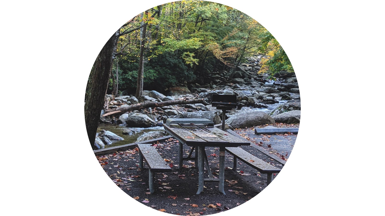 A wooden picnic table on gravel next to a parking space along a rocky river and near trees.