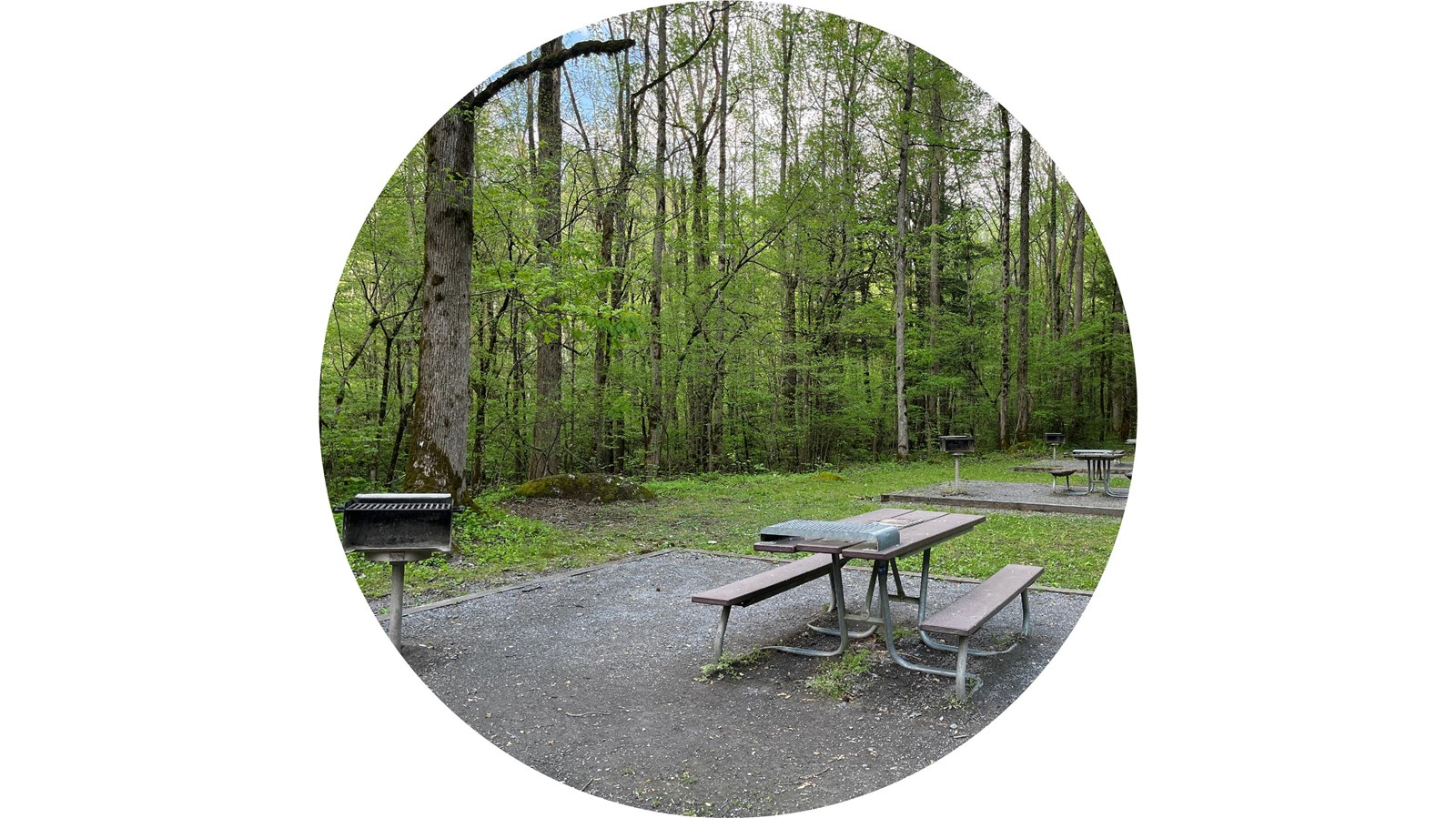 Wooden picnic tables on gravel pads near charcoal grills. Green trees in the background.