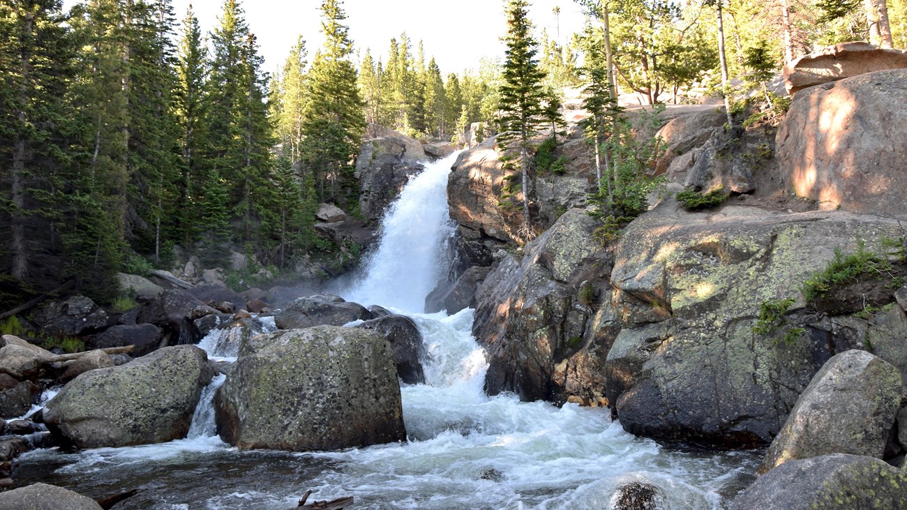 High water is flowing over Alberta Falls