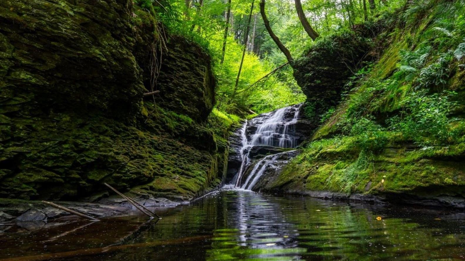 A waterfall peeking through rock ledges with green foliage around it.