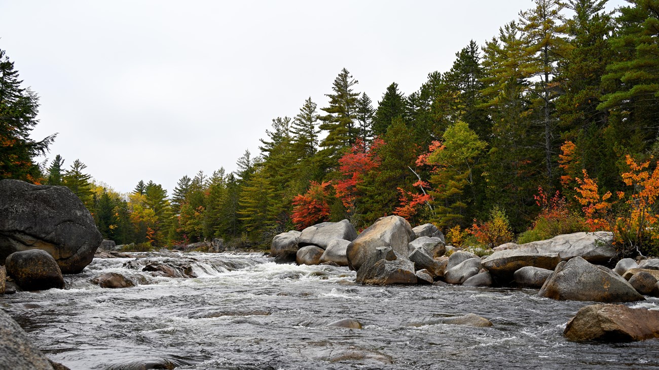 Tierd rapids made of large glacial rocks form Orin Falls. The stream is surrounded by forest.