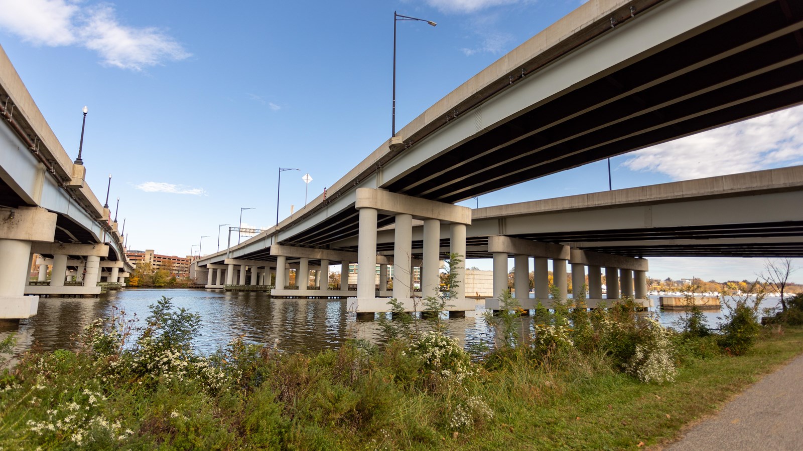 The underside of three bridges is depicted. Long, thick pillars hold each bridge up. 