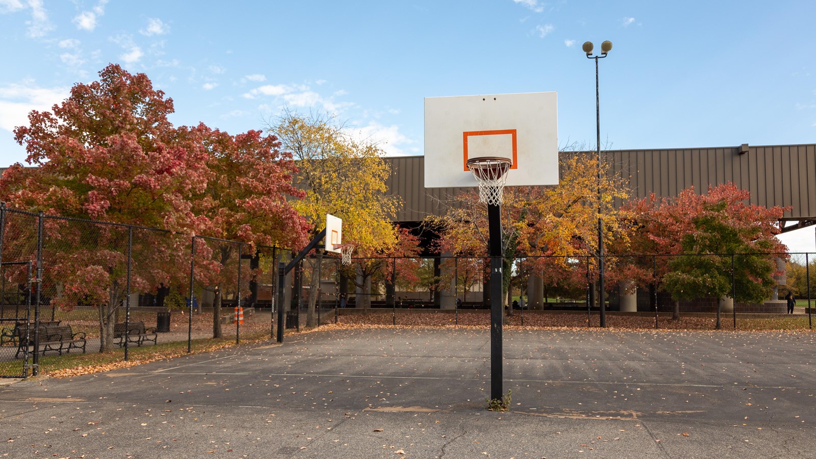 Two basketball hops stand adjacent on a basketball court. A brown building is positioned behind them