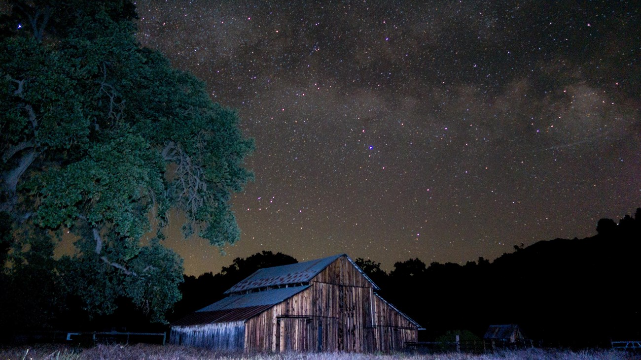 Large valley oak and rustic barn under a clear dark night sky