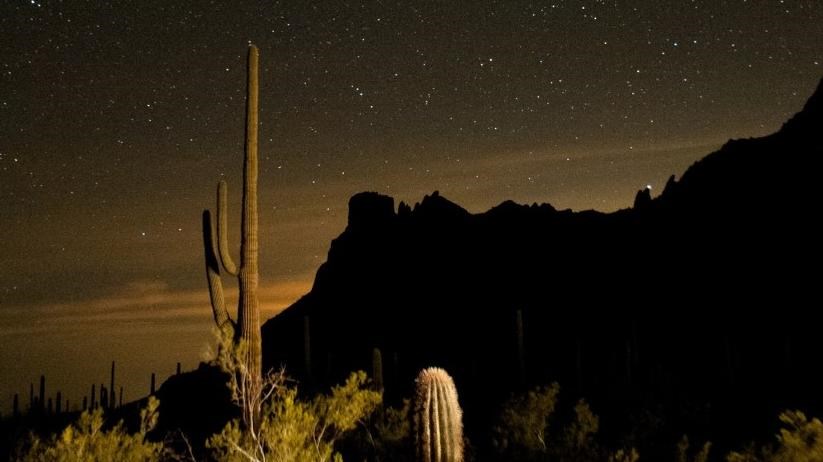Night photo of desert, with saguaro in the foreground and mountains in the background.