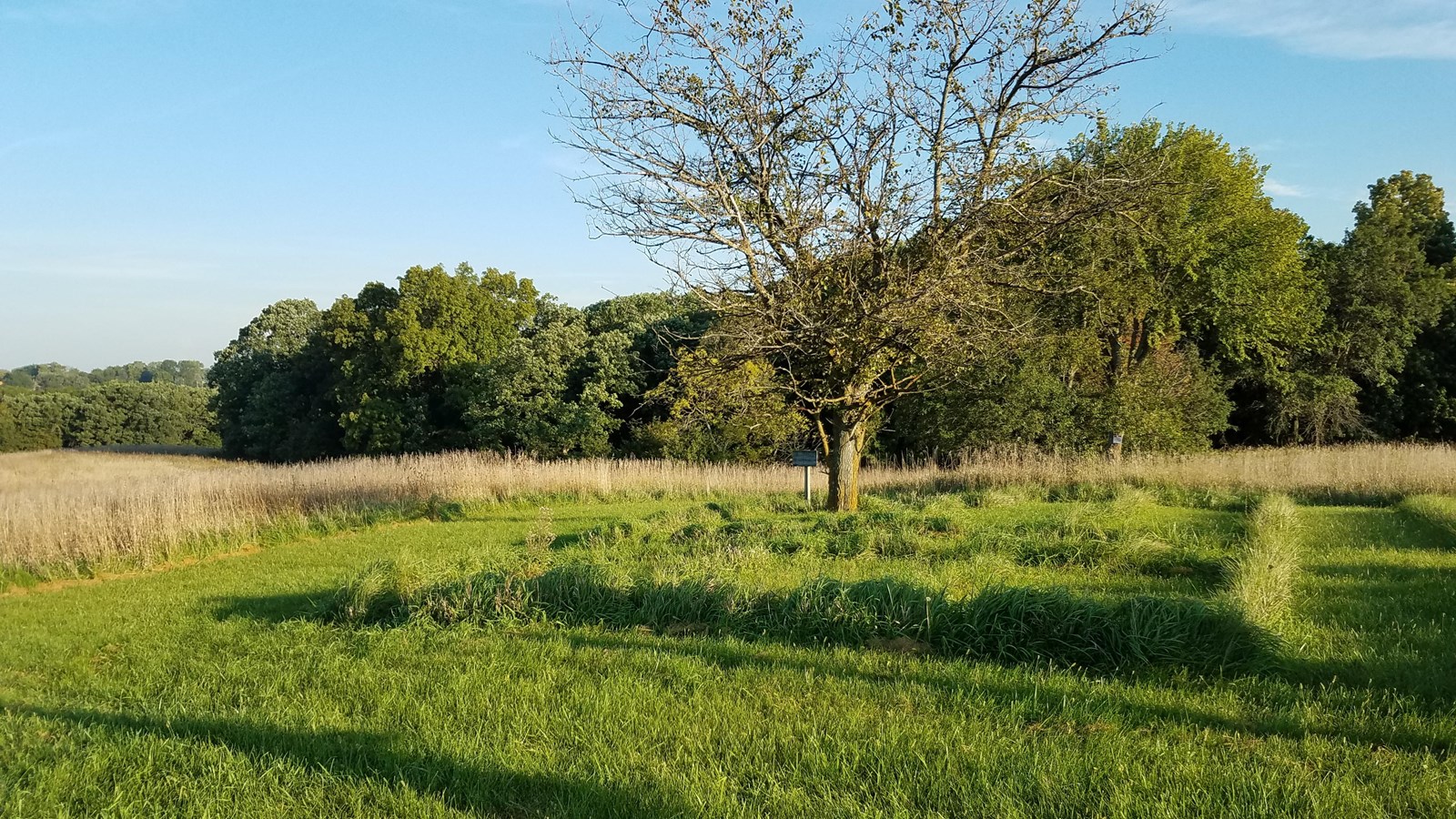 Raised mounds, the outlines of historic building walls, are visible in a grassy field.