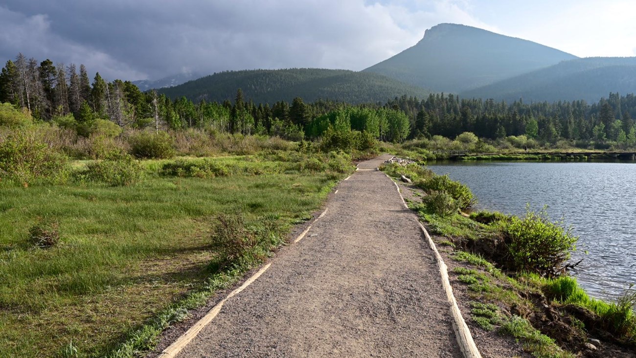 View of Lily Lake Trail and Longs Peak