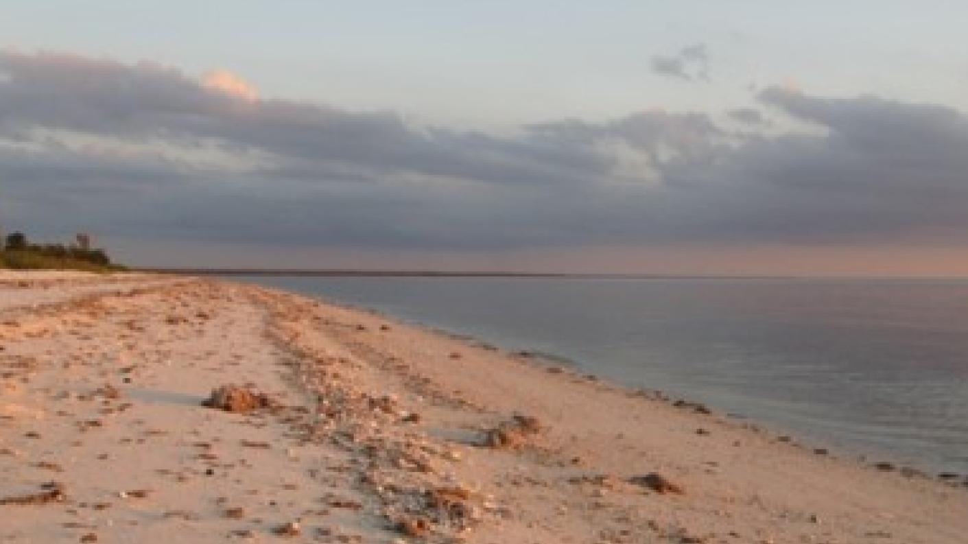 White sandybeach with rocks and debris appears pink in a sunset. Calm blue/pink waters sit offshore