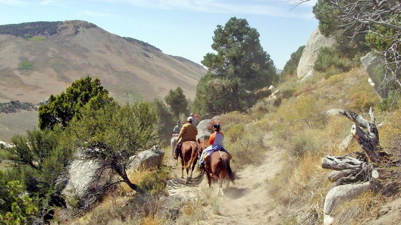 Horses and riders in a line traveling up a dusty narrow trail on a mountainside.