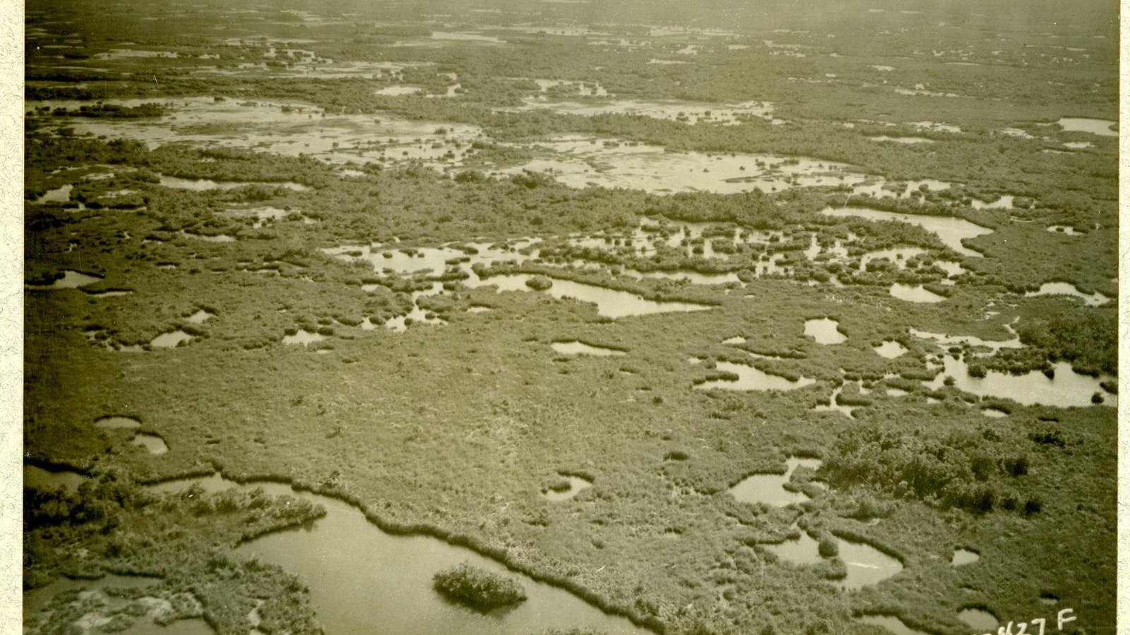 Aerial view of area with many greenery but lots of water spread out, like a swampy area