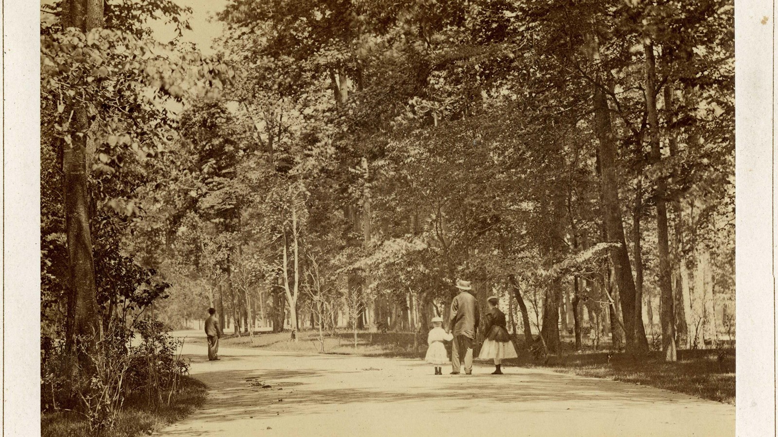 Black and white of path lined with trees with people walking along path