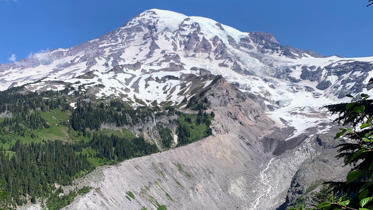 Hike Nisqually Vista Trail (U.S. National Park Service)